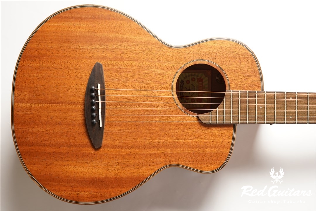 aNueNue Bird MY 20（E）アコースティックギター New Comers !!】 aNueNue – Acoustic Guitar 《Red Guitars Recommend